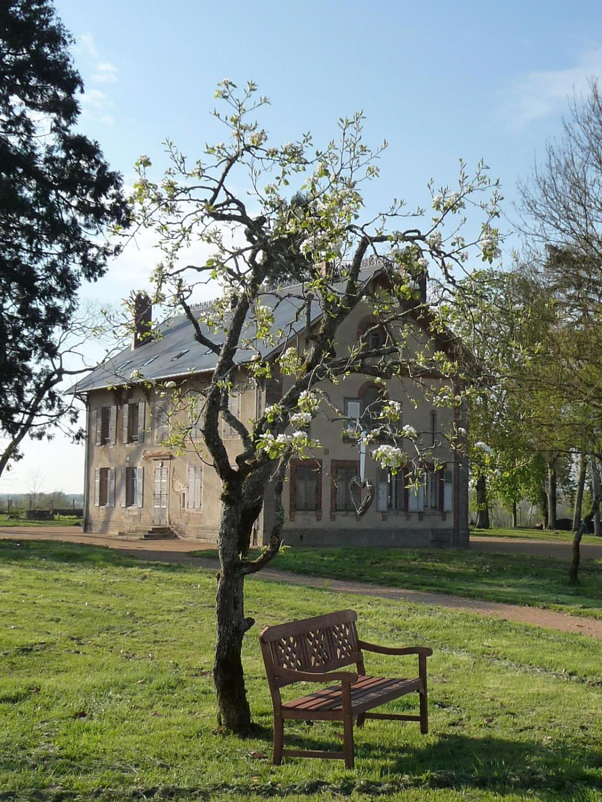 Saint-Saulge Domaine De Savigny Bed & Breakfast エクステリア 写真