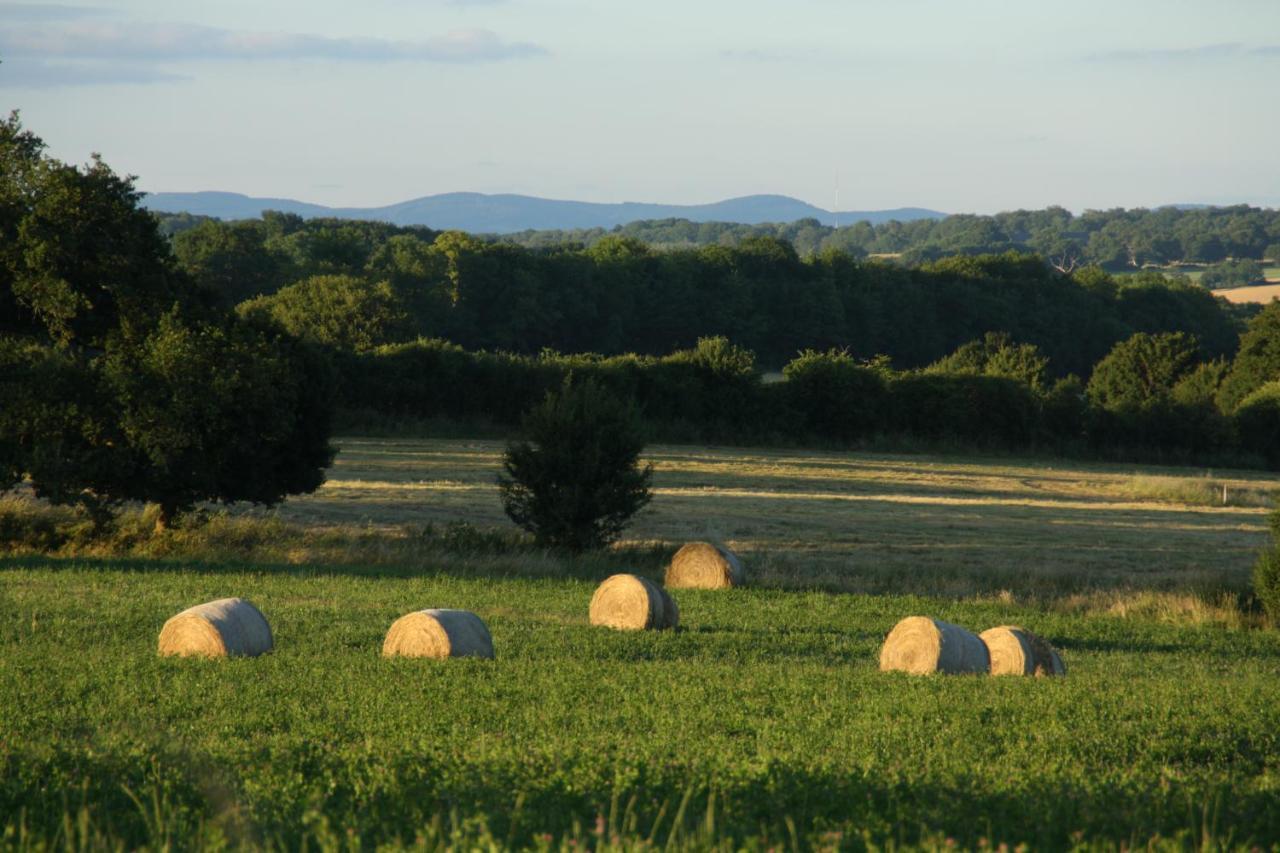 Saint-Saulge Domaine De Savigny Bed & Breakfast エクステリア 写真