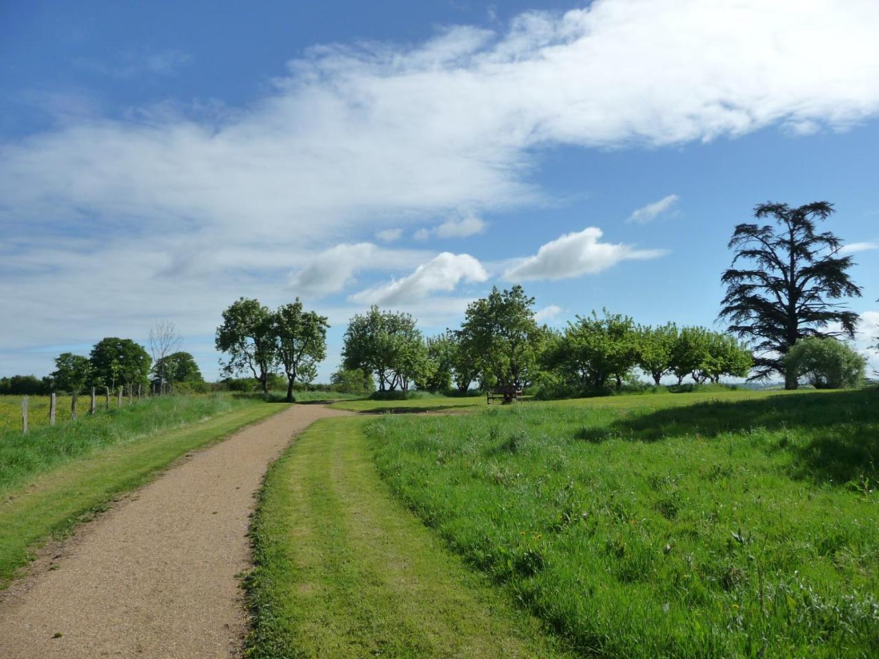 Saint-Saulge Domaine De Savigny Bed & Breakfast エクステリア 写真