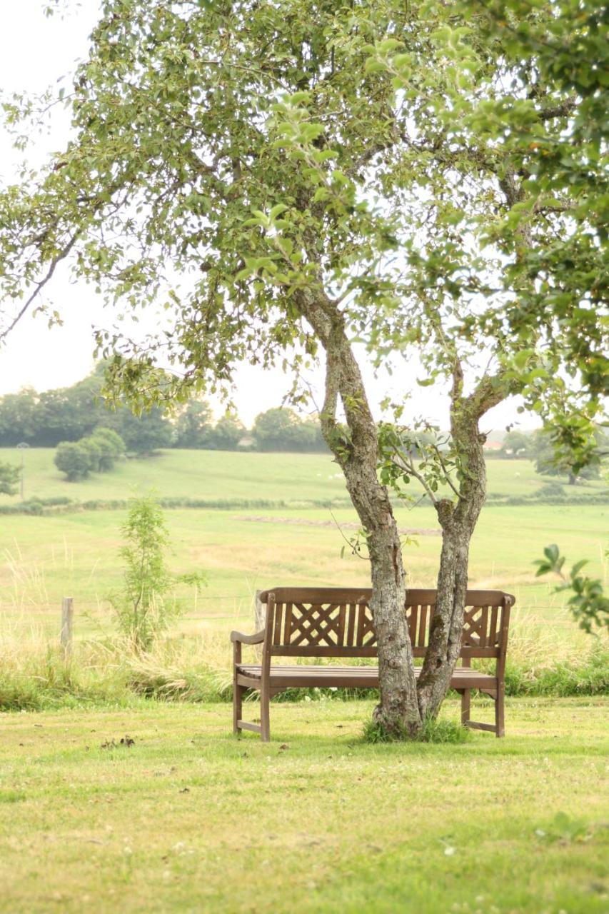 Saint-Saulge Domaine De Savigny Bed & Breakfast エクステリア 写真