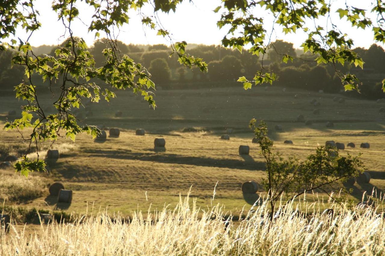 Saint-Saulge Domaine De Savigny Bed & Breakfast エクステリア 写真